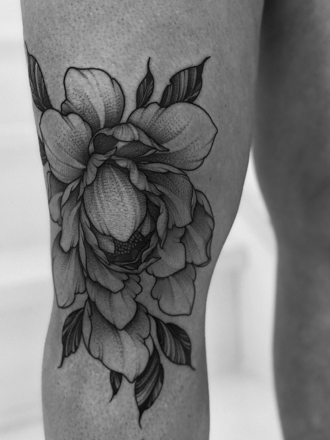 Pivoine black and grey sur le genou